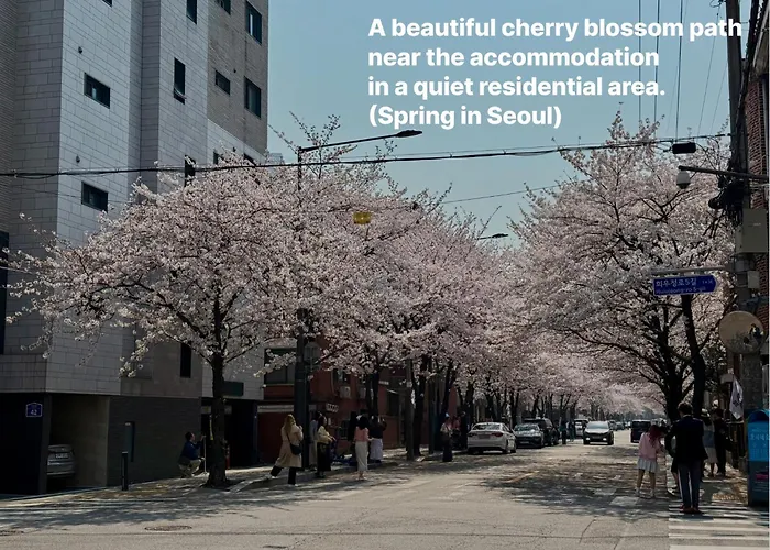 New, 3min To Hapjeong St, Airport Bus Stop, 8min To Hongdae & Mangwon Market, River Park, 2br 3qb Full Of Sunshine, Bedding, Nature *